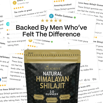 Himalayan Shilajit Gummies For Kidneys